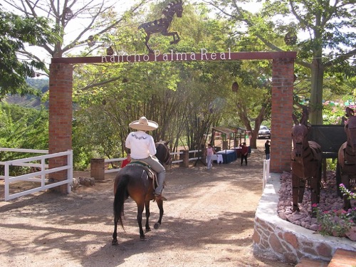 Horseback
